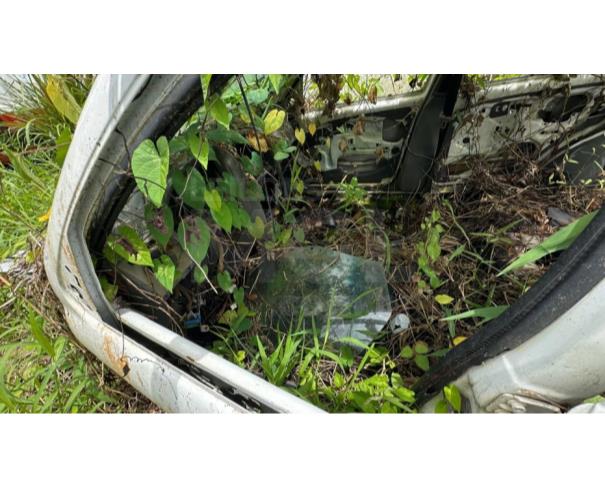 Foto de VALENÇA/BA - Carro Fiat Palio