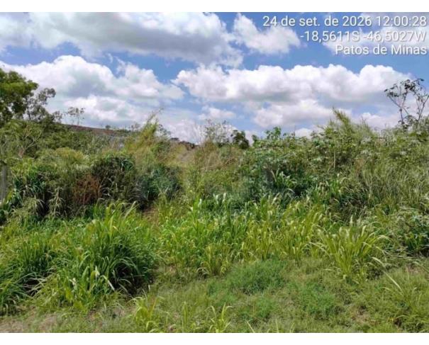 Foto de PATOS DE MINAS/MG - Lote urbano com área de 4.523,46 m², localizado no bairro Altos dos Caiçadas 