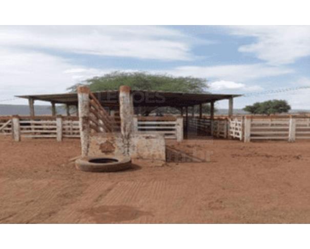 Foto de MUQUÉM DO SÃO FRANCISCO/BA – Fazenda com a área de 225,1618ha, denominada Fazenda Santa Rosa
