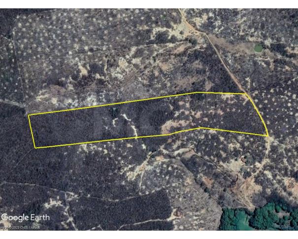 Foto de Araçuaí/MG - Terreno Rural com 12.50.00 hectares - jb27351