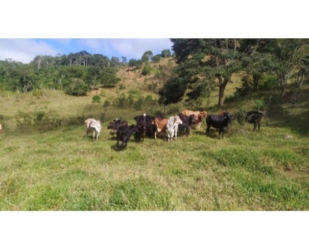 Foto de RIO VERMELHO/MG TERRENO COM ÁREA DE 07,86 HA 