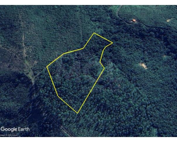 Foto de CÓRREGO DANTA/MG — Terreno Rural com 3.16.566 hectares