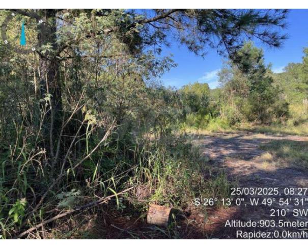 Foto de MAFRA/SC - Terreno Rural com 107.690 m² na localidade Rio Branco