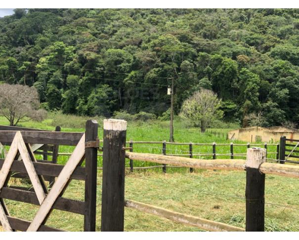 Foto de BOM JESUS DO GALHO/MG – Sítio com a área de 41,88,78ha², denominado Ribeirão do Galho