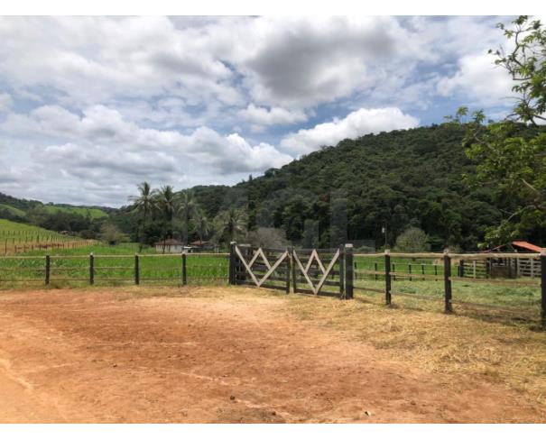 Foto de BOM JESUS DO GALHO/MG – Sítio com a área de 41,88,78ha², denominado Ribeirão do Galho