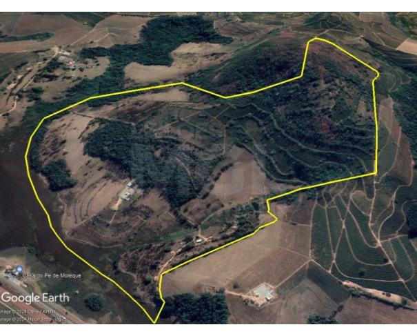 Foto de MACHADO/MG — Terreno Rural com 12.30.39 hectares 