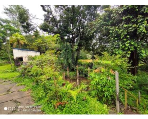 Foto de CATAGUASES/MG — Terreno Rural com 5.16.26 hectares no Sítio das Palmeiras