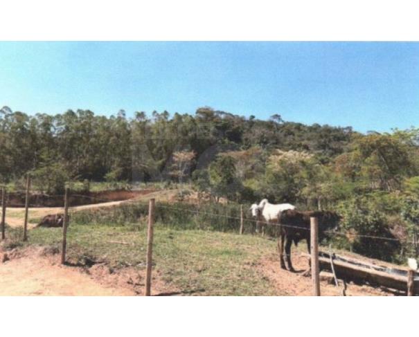 Foto de VIRGINOPOLIS/MG - FRAÇÃO DE 38,88% DA FAZENDA SÃO LUIZ SITUADA NO CÓRREGO MEXERICO