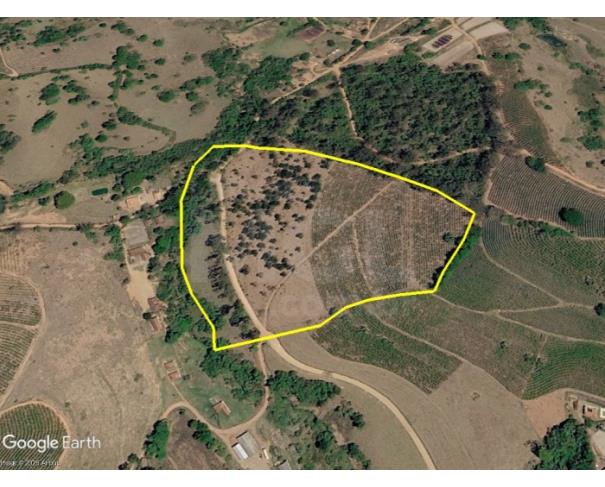 Foto de CABO VERDE/MG — Terreno rural com área 05.42 hectares na Fazenda Córrego