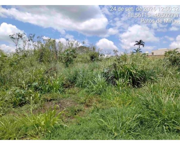 Foto de PATOS DE MINAS/MG - Lote urbano com área de 4.523,46 m², localizado no bairro Altos dos Caiçadas 