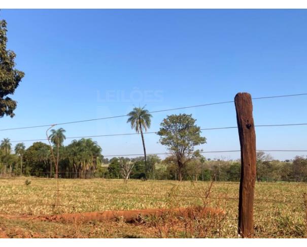 Foto de ITAPAGIPE/MG – Terreno Rural com 10.55.14 hectares na Fazenda Moeda ou Moeda de Cima
