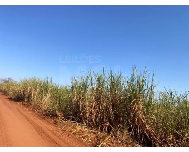 Foto de ITAPAGIPE/MG – Terreno Rural com 10.55.14 hectares na Fazenda Moeda ou Moeda de Cima