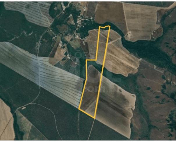 Foto de BALSAS/MA - Fazenda com 119,25 hectares na Fazenda Correio. 