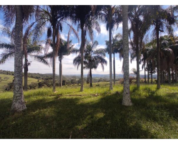 Foto de ITATIAIUÇU/MG — Fazenda com aprox. 181ha (1.800.000m²) no Teixeiras