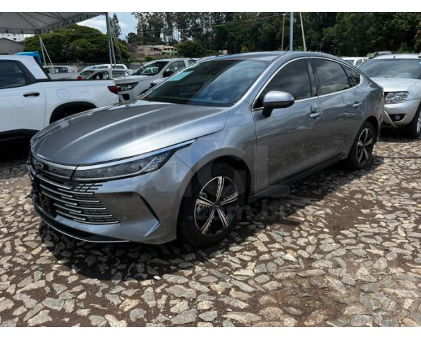 Foto de ITAÚNA/MG-BYD KING GS 1.5 16V AUT. (HIBRIDO) 2024/2025-PA12604