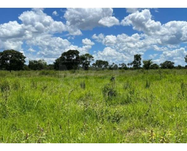 Foto de ARINOS/MG - Fazenda com a área de 36,79,64ha, denominada Fazenda Riacho Claro ou Braga