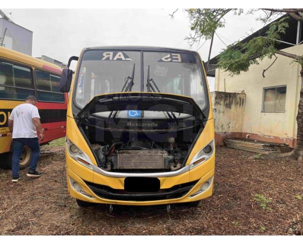 Foto de PIRAPETINGA/MG - Ônibus Iveco/ Wayclass 70C17HDE, 2018/2019, DIESEL 