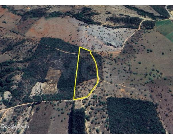 Foto de LAGOA DA PRATA/MG — Terreno rural com 3,56,53 hectares na Fazenda Bom Sucesso