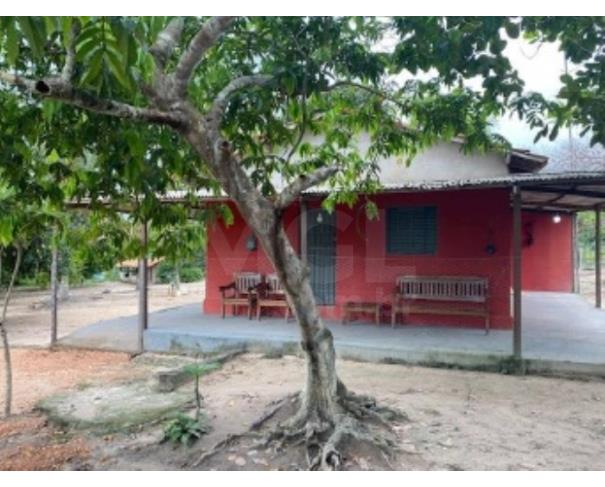 Foto de VILA NOVA DOS MARTÍRIOS/MA - UMA GLEBA DE TERRAS COM ÁREA DE 10.87,90HA