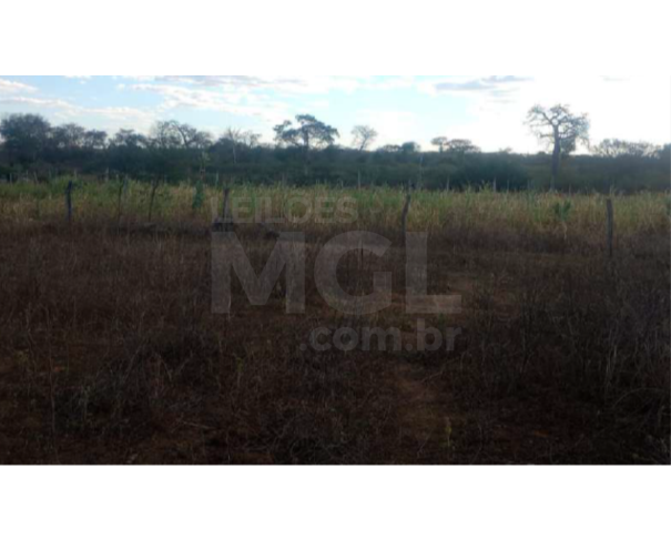 Foto de SÃO FRANCISCO/MG — Terreno Rural com 5.16.00 hectares na Fazenda Brejo dos Angicos