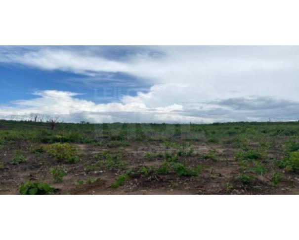 Foto de VILA NOVA DOS MARTÍRIOS/MA - FAZENDA SANTA MARIA PARTE 02 COM ÁREA DE 104,4522HA