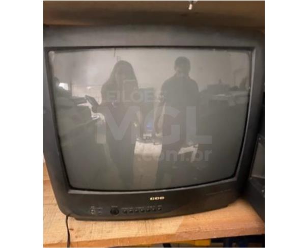 Foto de PORCIÚNCULA/RJ - Eletrodomésticos (freezer, balança, liquidificador, filtro, freezer, televisor). 