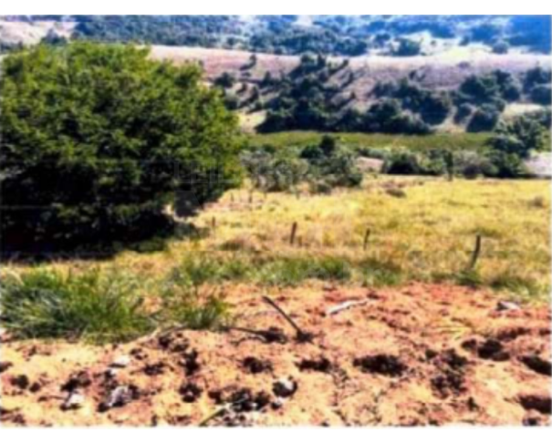 Foto de SUMIDOURO/RJ – Imóvel rural com a área de 142.283,87 m², denominado Sítio São Pedro
