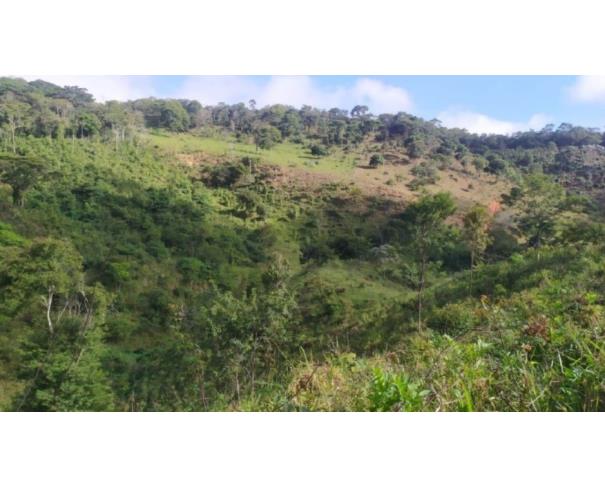 Foto de RIO VERMELHO/MG TERRENO COM ÁREA DE 17,51,59HA 