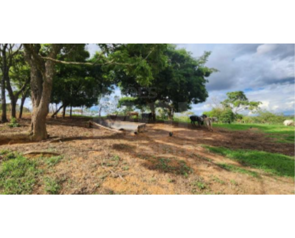 Foto de LUZ/MG – Terreno rural com a área de 16,41,94ha, denominado Fazenda Águas Claras 
