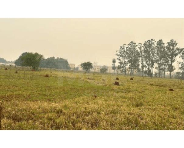 Foto de DOURADOS/MS – Terreno urbano com 24.200m², situado a Avenida Marcelino Pires