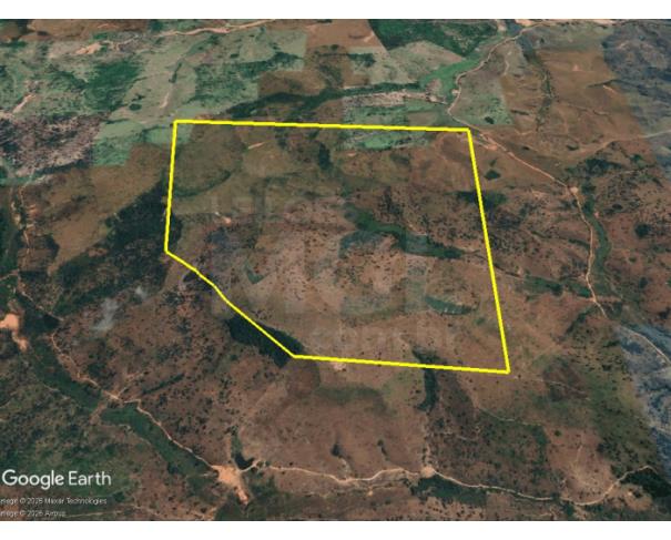 Foto de SANTA LUZIA/MA — Fazenda com 199,0358 hectares "Fazenda São Raimundo"