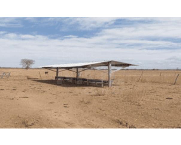 Foto de MUQUÉM DO SÃO FRANCISCO/BA – Fazenda com a área de 225,1618ha, denominada Fazenda Santa Rosa