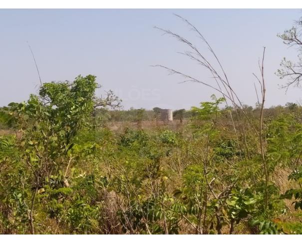 Foto de LUISLÂNDIA/MG - Fazenda com 92.00.33 hectares na Fazenda Macacos