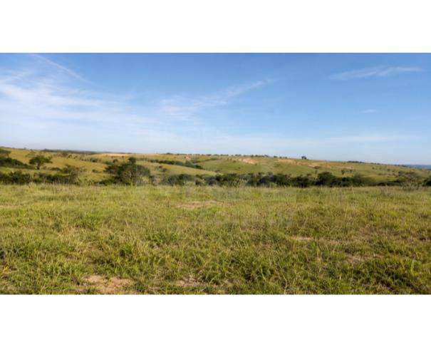 Foto de LUZ/MG – Fazenda Noruega com a área de 45,84,05ha no distrito de Esteios