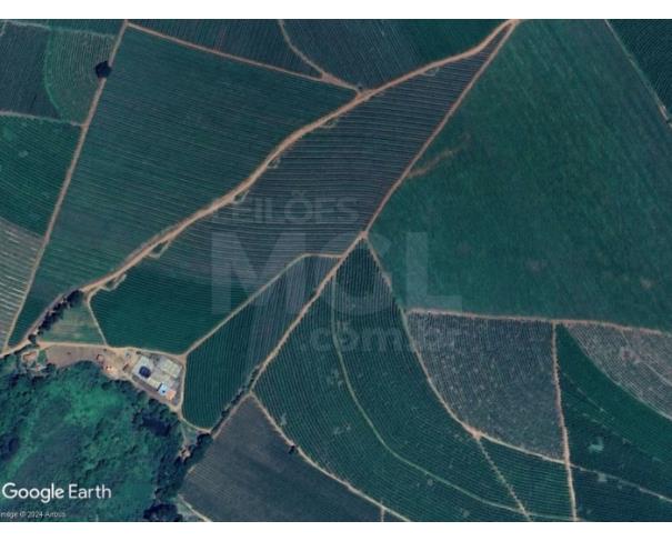 Foto de SANTANA DA VARGEM/MG — Terreno rural com 07.14.00 hectares com 22.312 pé de café