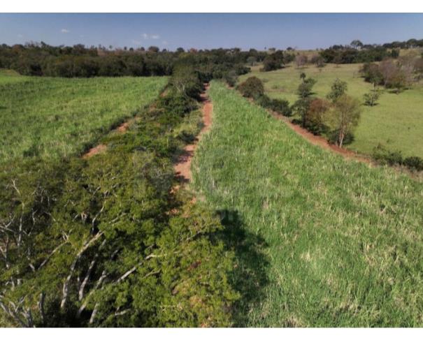 Foto de ITAPAGIPE/MG – Terreno Rural com 10.55.14 hectares na Fazenda Moeda ou Moeda de Cima