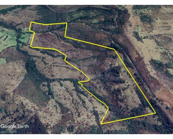 Foto de ARAGUARI/MG - [Direitos aquisitivos sobre] Terreno Rural com 61,95,00 hectares na "Fazenda Vão".