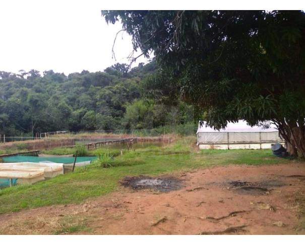 Foto de GUARANÉSIA/MG — Sítio com 7.200,00m² contendo 01 tanque para pesca no Santa Cruz da Barra