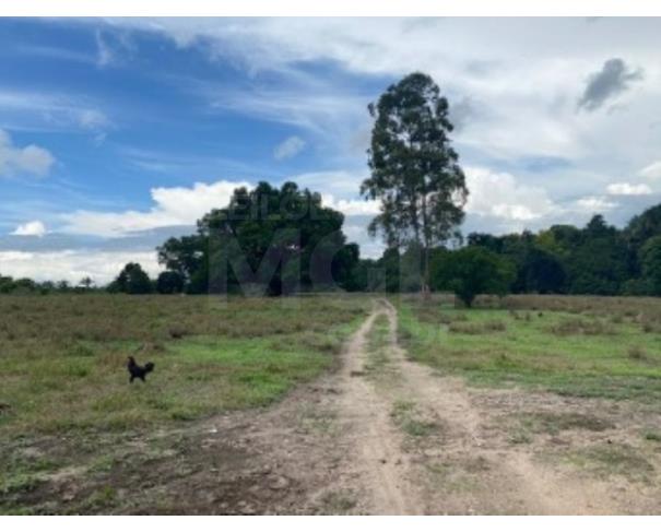 Foto de VILA NOVA DOS MARTÍRIOS/MA - UMA GLEBA DE TERRAS COM ÁREA DE 10.87,90HA