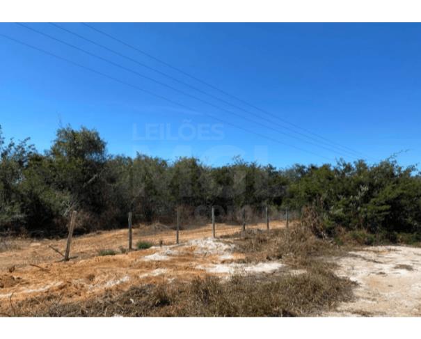Foto de SALINAS/MG — Fazenda com 206,2547 hectares na Fazenda Olhos D'agua