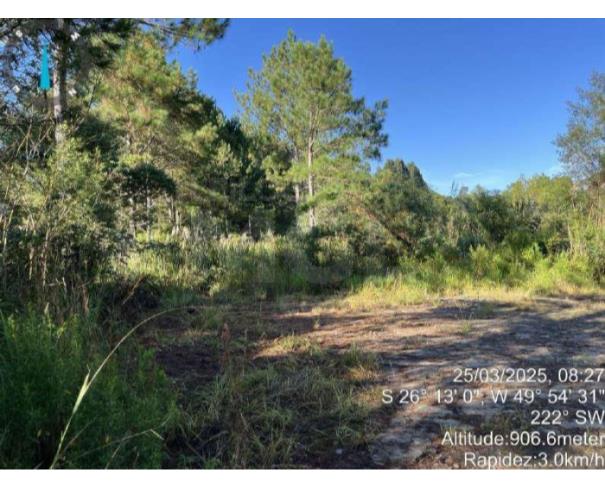 Foto de MAFRA/SC - Terreno Rural com 107.690 m² na localidade Rio Branco