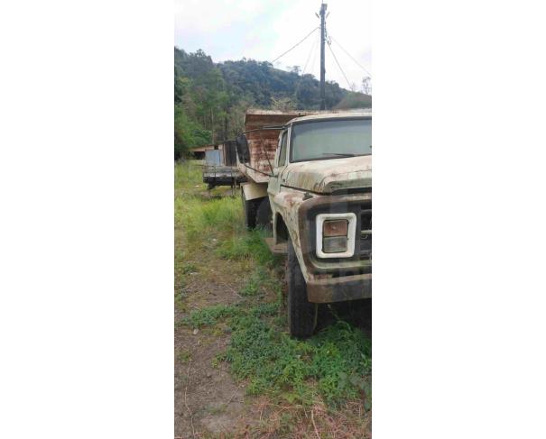 Foto de SANTA RITA DE JACUTINGA/MG - Carga caminhão Ford/ F11000, 1991/1991, DIESEL 
