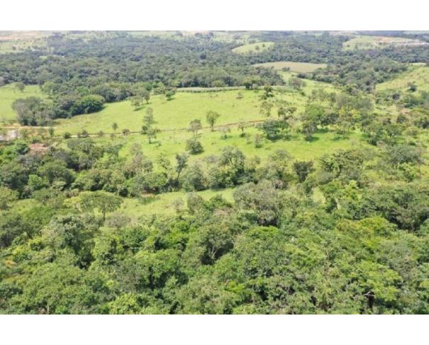 Foto de PIUMHI/MG - Terreno Rural com 22,25,12 hectares no distrito de Doresópolis