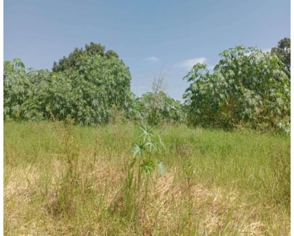 Foto de GUIMARÂNIA/MG – Lote de terreno a área de 263,99m², situado no Bairro Jardim Paraíso