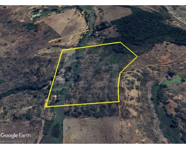 Foto de LEOPOLDINA/MG — Terreno Rural com 18.17.00 hectares no Sítio Saudade