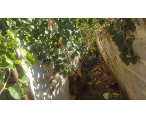 Foto de TUNAS DO PARANÁ/PR - Caminhão VW 13.180 Euro3 Worker, 2008/2008, DIESEL 