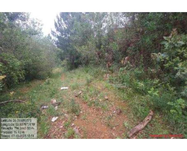 Foto de DIONISIO CERQUEIRA/SC - Terreno com 4.400 m² no bairro Salete