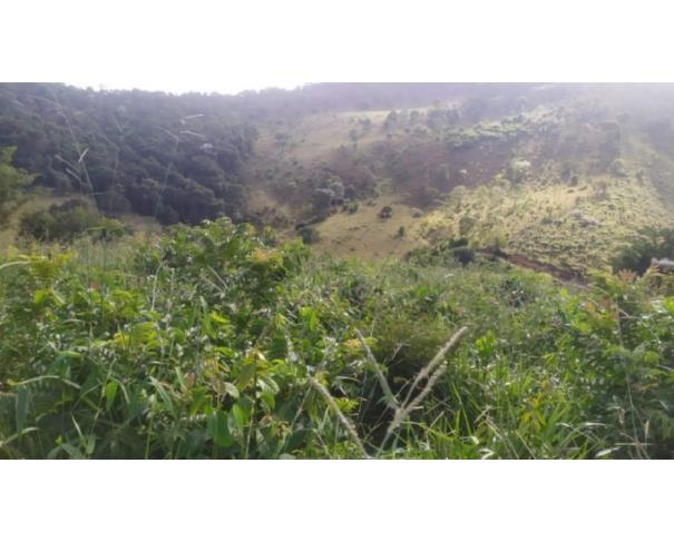 Foto de RIO VERMELHO/MG TERRENO COM ÁREA DE 17,51,59HA 