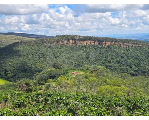 Foto de GUAPÉ/MG- FAZENDA BOQUEIRÃO