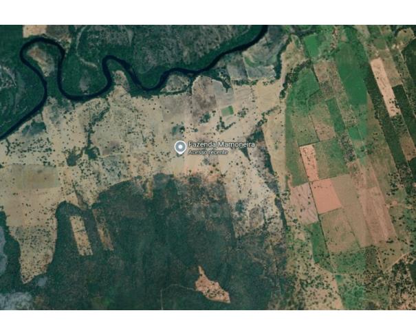 Montalvânia/mg - terreno rural com 174,14 hectares no mamoneira. sítio/ chácara em leilão | mgl leilões